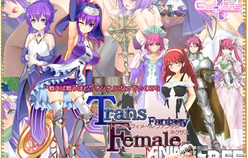 Trans-Female Fantasy Nexus ~Append~     
