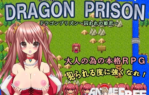 DRAGON PRISON ~ torawa reno himegimi ~     